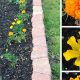 Grow More: Marigolds in the Vegetable Garden Secrets! | The Ultimate Gardening Guide: Grow a Thriving Garden Year-Round