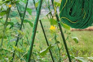 Boost Your Garden: Net Trellis Systems & Beyond | The Ultimate Gardening Guide: Grow a Thriving Garden Year-Round