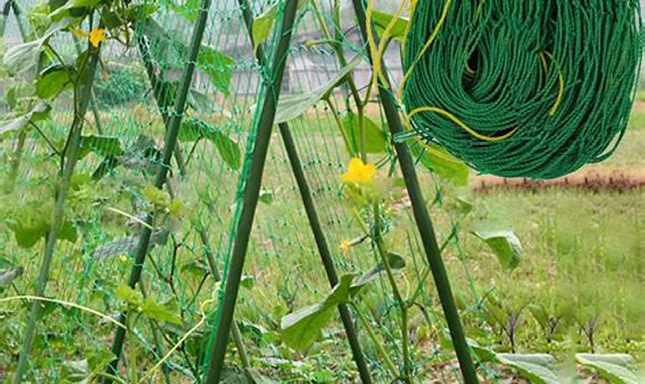 Boost Your Garden: Net Trellis Systems & Beyond The Ultimate Gardening Guide: Grow a Thriving Garden Year-Round Boost Your Garden: Net Trellis Systems & Beyond | The Ultimate Gardening Guide: Grow a Thriving Garden Year-Round