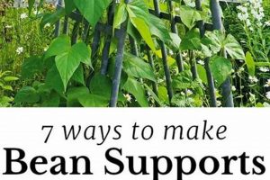 Best Bean Garden Trellis Ideas + Growing Tips! | The Ultimate Gardening Guide: Grow a Thriving Garden Year-Round