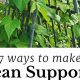 Best Bean Garden Trellis Ideas + Growing Tips! | The Ultimate Gardening Guide: Grow a Thriving Garden Year-Round