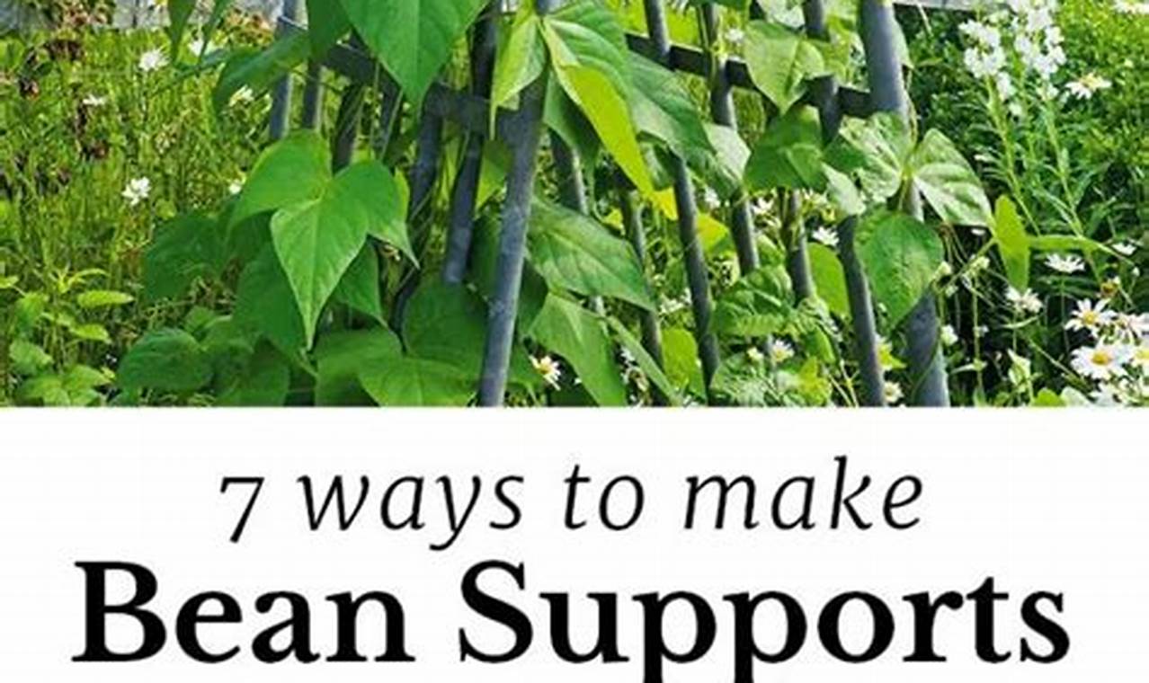 Best Bean Garden Trellis Ideas + Growing Tips! | The Ultimate Gardening Guide: Grow a Thriving Garden Year-Round