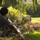 Discover: The Music Garden - A Sound Landscape | The Ultimate Gardening Guide: Grow a Thriving Garden Year-Round