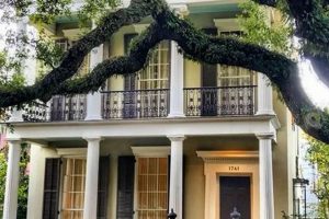 Explore the Lower Garden District, NOLA: A Guide | The Ultimate Gardening Guide: Grow a Thriving Garden Year-Round