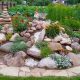 Easy Steps: How Do You Make a Rockery Garden? +Tips | The Ultimate Gardening Guide: Grow a Thriving Garden Year-Round