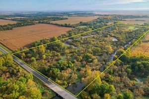 Living in Garden Prairie, Illinois: A Guide &amp; Info | The Ultimate Gardening Guide: Grow a Thriving Garden Year-Round