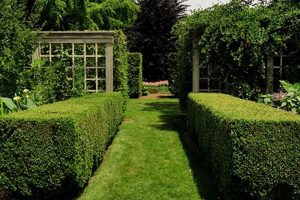 Discover Landcraft Garden Foundation Oasis: Explore, Learn, Grow | The Ultimate Gardening Guide: Grow a Thriving Garden Year-Round