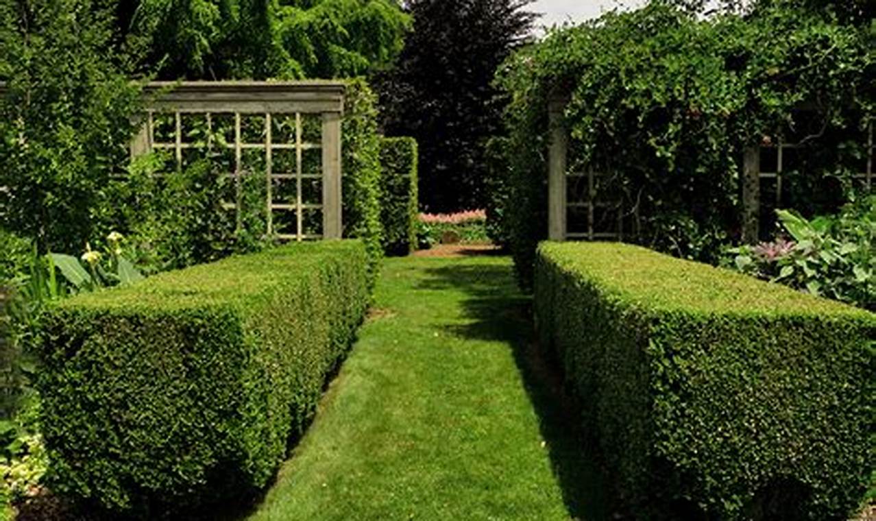 Discover Landcraft Garden Foundation Oasis: Explore, Learn, Grow | The Ultimate Gardening Guide: Grow a Thriving Garden Year-Round