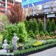 Your Local Garden Shop: Plants, Tools & More! | The Ultimate Gardening Guide: Grow a Thriving Garden Year-Round
