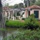 Unveiling Pan's Garden: A Whimsical Sanctuary & Escape | The Ultimate Gardening Guide: Grow a Thriving Garden Year-Round