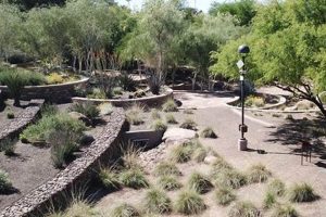 Scottsdale Xeriscape Gardens: Desert Oasis Guide AZ | The Ultimate Gardening Guide: Grow a Thriving Garden Year-Round