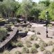Scottsdale Xeriscape Gardens: Desert Oasis Guide AZ | The Ultimate Gardening Guide: Grow a Thriving Garden Year-Round