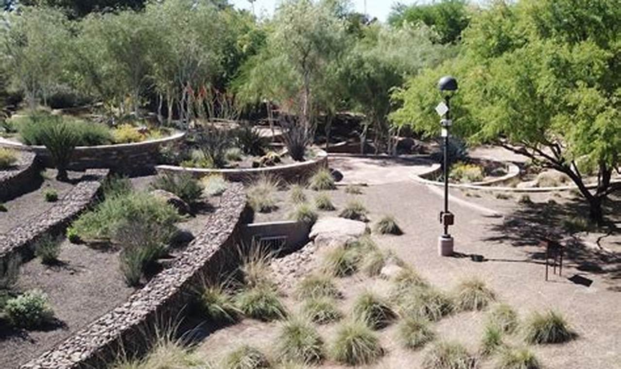 Scottsdale Xeriscape Gardens: Desert Oasis Guide AZ The Ultimate Gardening Guide: Grow a Thriving Garden Year-Round Scottsdale Xeriscape Gardens: Desert Oasis Guide AZ | The Ultimate Gardening Guide: Grow a Thriving Garden Year-Round