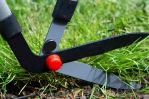Best Edging Garden Shears: Trim & Edge Like a Pro! | The Ultimate Gardening Guide: Grow a Thriving Garden Year-Round