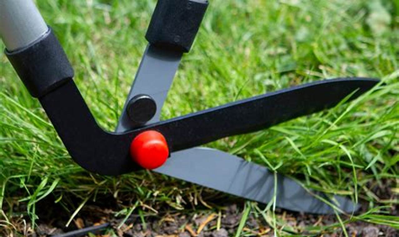 Best Edging Garden Shears: Trim & Edge Like a Pro! | The Ultimate Gardening Guide: Grow a Thriving Garden Year-Round