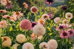 Stunning Coneflower Garden Design Ideas + Tips | The Ultimate Gardening Guide: Grow a Thriving Garden Year-Round