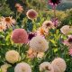 Stunning Coneflower Garden Design Ideas + Tips | The Ultimate Gardening Guide: Grow a Thriving Garden Year-Round