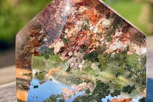Discover Unique Garden Quartz Crystals: Nature Inside! | The Ultimate Gardening Guide: Grow a Thriving Garden Year-Round