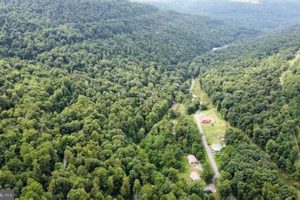 Discovering Elk Garden WV: A Mountain Gem The Ultimate Gardening Guide: Grow a Thriving Garden Year-Round Discovering Elk Garden WV: A Mountain Gem | The Ultimate Gardening Guide: Grow a Thriving Garden Year-Round