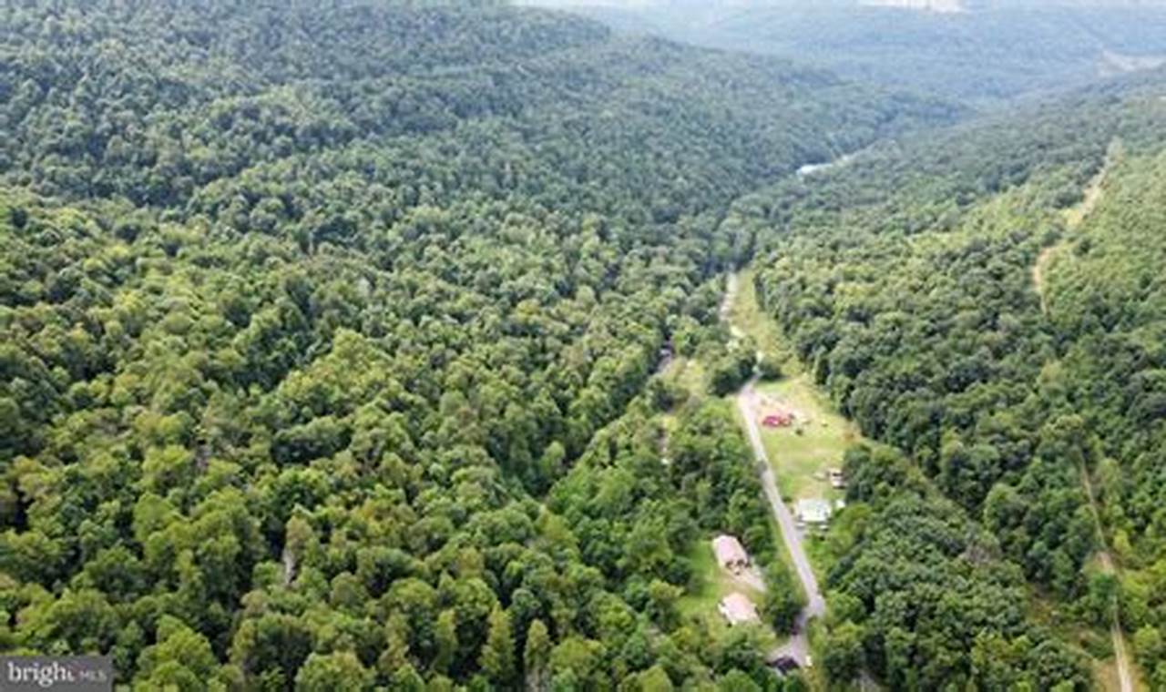 Discovering Elk Garden WV: A Mountain Gem The Ultimate Gardening Guide: Grow a Thriving Garden Year-Round Discovering Elk Garden WV: A Mountain Gem | The Ultimate Gardening Guide: Grow a Thriving Garden Year-Round