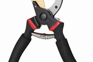 Top-Rated Garden Shears: Your Best Garden Pruning Tool | The Ultimate Gardening Guide: Grow a Thriving Garden Year-Round