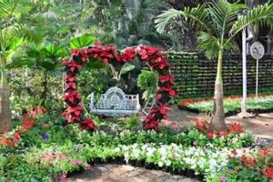 Grow Your Own Garden Empress: Superior Plant Guide The Ultimate Gardening Guide: Grow a Thriving Garden Year-Round Grow Your Own Garden Empress: Superior Plant Guide | The Ultimate Gardening Guide: Grow a Thriving Garden Year-Round