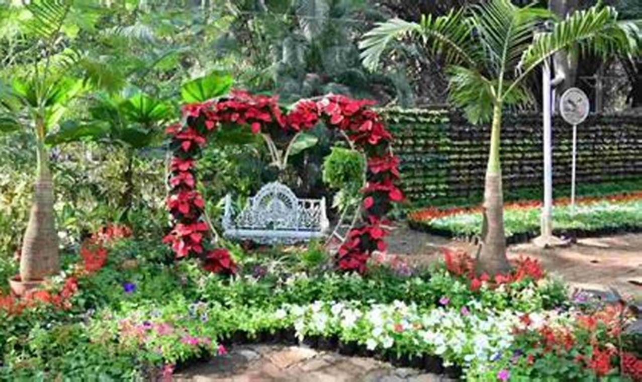 Grow Your Own Garden Empress: Superior Plant Guide The Ultimate Gardening Guide: Grow a Thriving Garden Year-Round Grow Your Own Garden Empress: Superior Plant Guide | The Ultimate Gardening Guide: Grow a Thriving Garden Year-Round