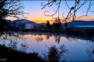 Discover: Pacifica - A Siskiyou Garden Paradise Guide | The Ultimate Gardening Guide: Grow a Thriving Garden Year-Round