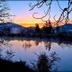 Discover: Pacifica - A Siskiyou Garden Paradise Guide | The Ultimate Gardening Guide: Grow a Thriving Garden Year-Round