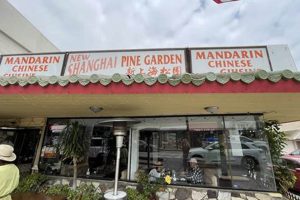 Explore the Shanghai Pine Garden: Oasis & More | The Ultimate Gardening Guide: Grow a Thriving Garden Year-Round