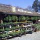 Agee Lawn and Garden: Your Local Yard Experts! | The Ultimate Gardening Guide: Grow a Thriving Garden Year-Round