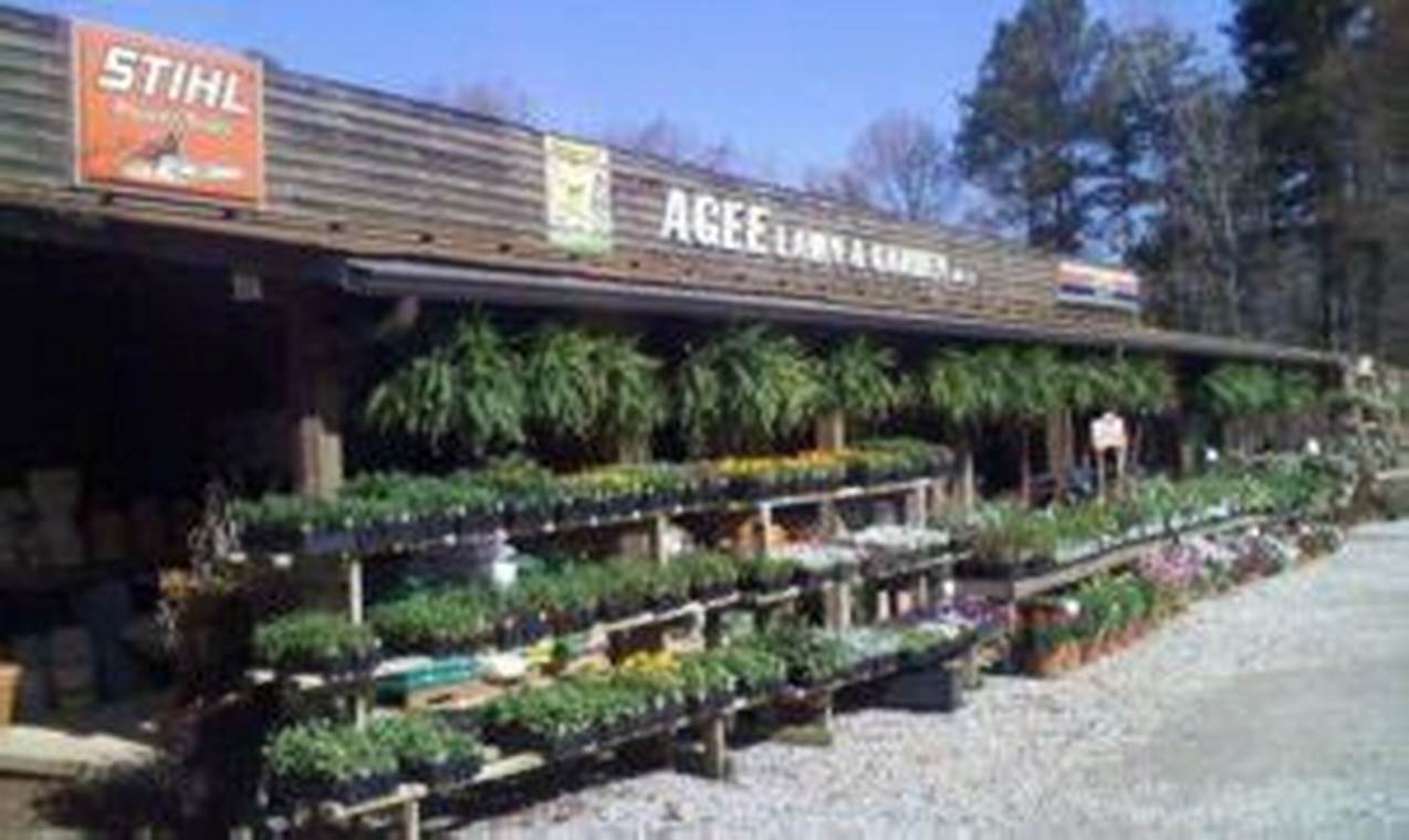 Agee Lawn and Garden: Your Local Yard Experts! | The Ultimate Gardening Guide: Grow a Thriving Garden Year-Round