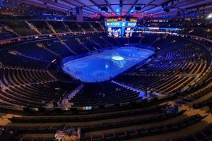 Find the Best Seats for Madison Square Garden Experience | The Ultimate Gardening Guide: Grow a Thriving Garden Year-Round