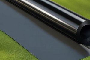 Using Black Plastic for Garden? Tips & Alternatives | The Ultimate Gardening Guide: Grow a Thriving Garden Year-Round