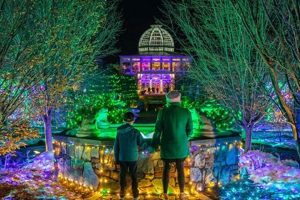 See the Dominion Energy Garden of Lights | Holiday Magic | The Ultimate Gardening Guide: Grow a Thriving Garden Year-Round