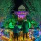 See the Dominion Energy Garden of Lights | Holiday Magic | The Ultimate Gardening Guide: Grow a Thriving Garden Year-Round