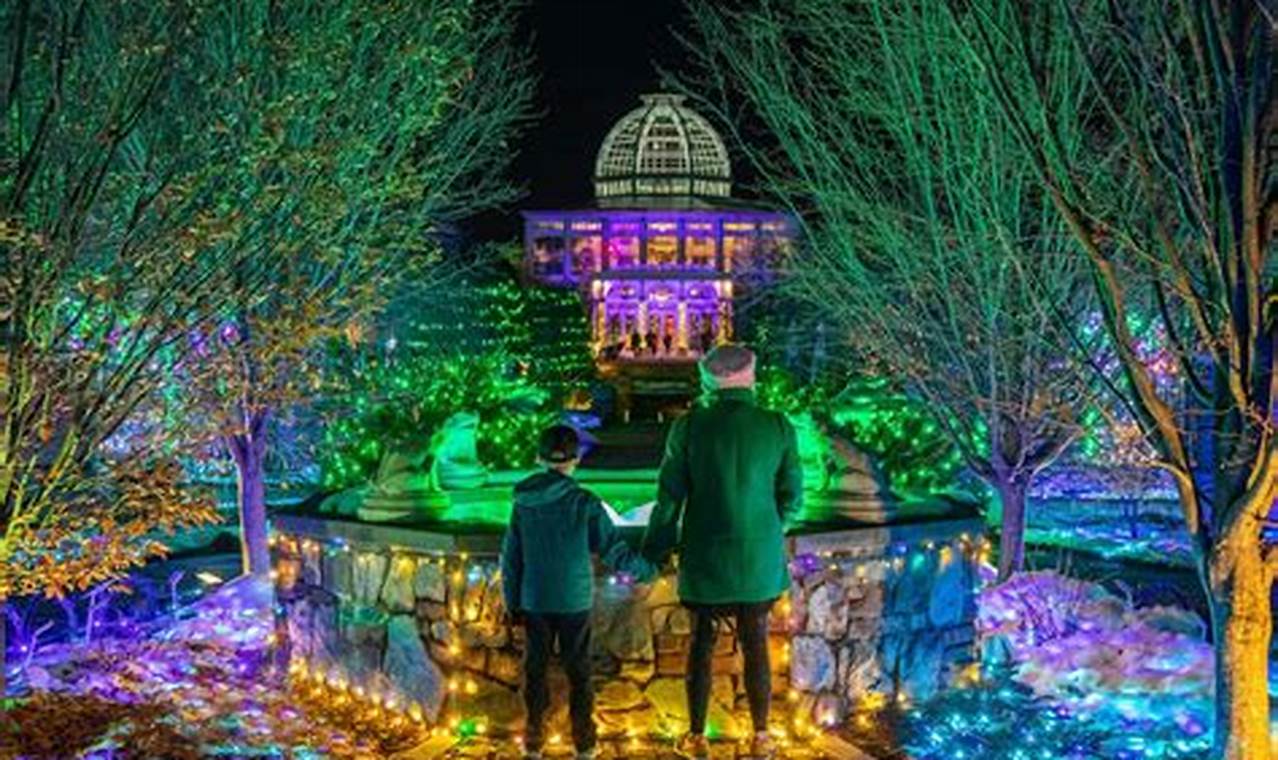 See the Dominion Energy Garden of Lights | Holiday Magic | The Ultimate Gardening Guide: Grow a Thriving Garden Year-Round