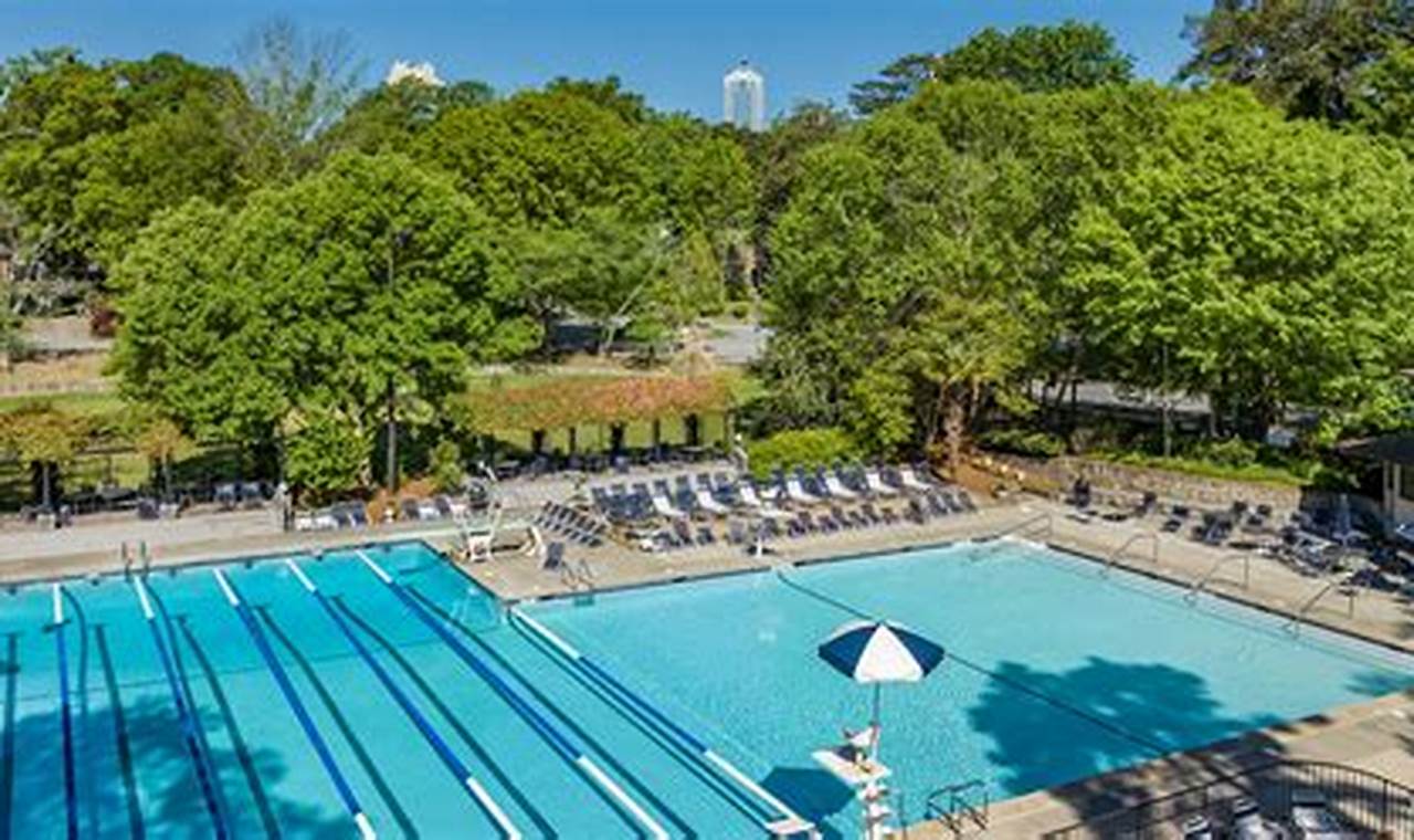 Your Garden Hills Pool: Fun & Relaxation Awaits! The Ultimate Gardening Guide: Grow a Thriving Garden Year-Round Your Garden Hills Pool: Fun & Relaxation Awaits! | The Ultimate Gardening Guide: Grow a Thriving Garden Year-Round