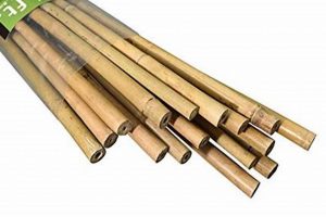 Best 6 Foot Garden Stakes: Support Your Garden Strong! The Ultimate Gardening Guide: Grow a Thriving Garden Year-Round Best 6 Foot Garden Stakes: Support Your Garden Strong! | The Ultimate Gardening Guide: Grow a Thriving Garden Year-Round