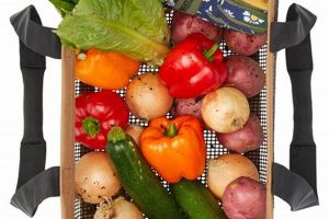 Grow Your Own: A Thriving Harvester Garden Guide | The Ultimate Gardening Guide: Grow a Thriving Garden Year-Round