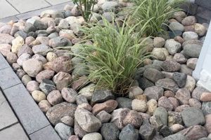 Enhance Your Garden: River Rock Garden Stones Today! | The Ultimate Gardening Guide: Grow a Thriving Garden Year-Round