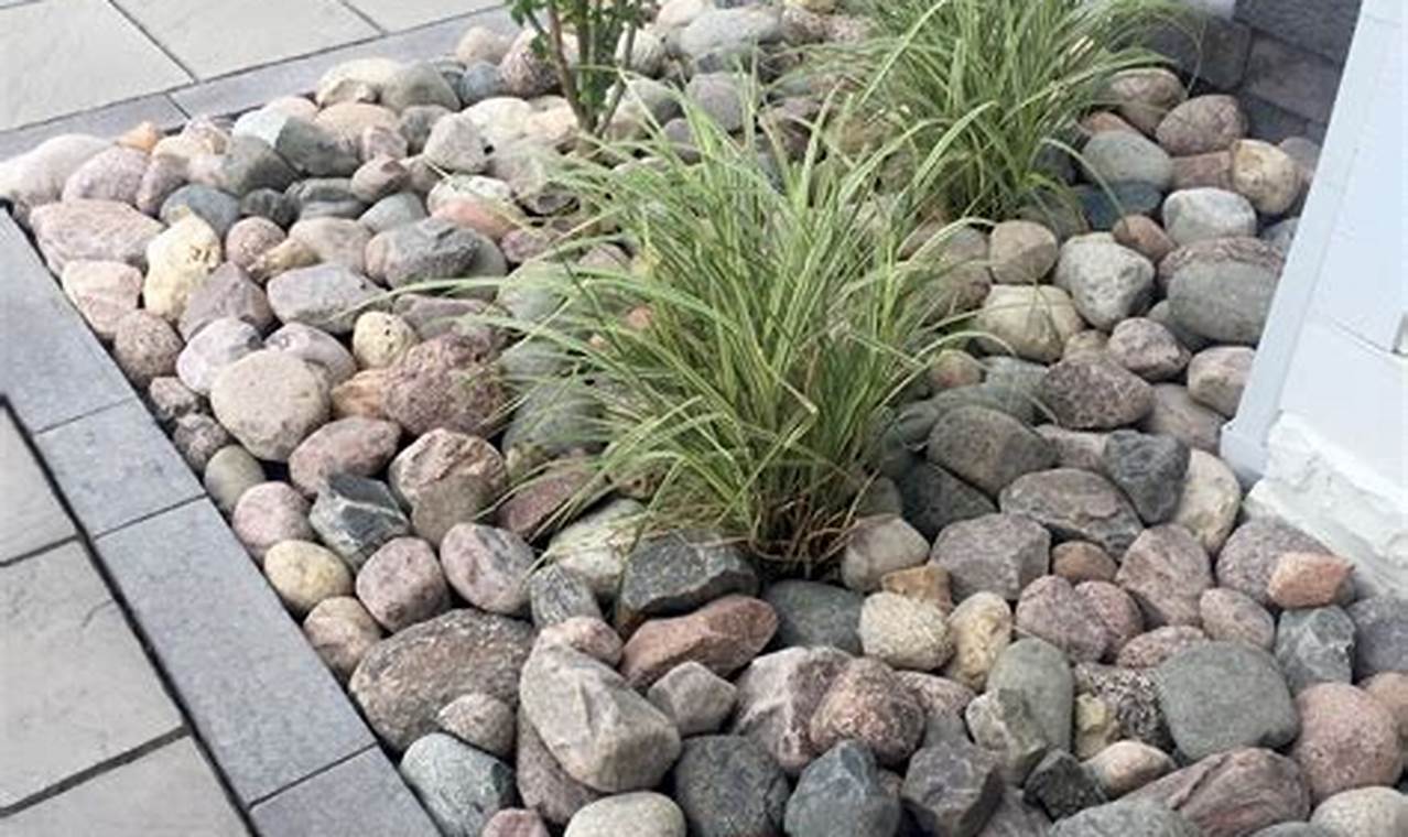 Enhance Your Garden: River Rock Garden Stones Today! The Ultimate Gardening Guide: Grow a Thriving Garden Year-Round Enhance Your Garden: River Rock Garden Stones Today! | The Ultimate Gardening Guide: Grow a Thriving Garden Year-Round