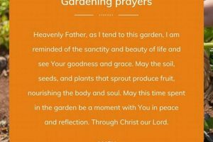 Bless Your Garden: A Gardener's Prayer Guide | The Ultimate Gardening Guide: Grow a Thriving Garden Year-Round