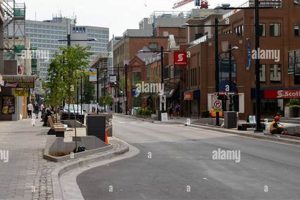 Explore Spring Garden Road, Halifax: Your Urban Garden The Ultimate Gardening Guide: Grow a Thriving Garden Year-Round Explore Spring Garden Road, Halifax: Your Urban Garden | The Ultimate Gardening Guide: Grow a Thriving Garden Year-Round