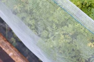 Best Garden Insect Netting: Protect Your Plants Now! The Ultimate Gardening Guide: Grow a Thriving Garden Year-Round Best Garden Insect Netting: Protect Your Plants Now! | The Ultimate Gardening Guide: Grow a Thriving Garden Year-Round