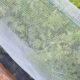 Best Garden Insect Netting: Protect Your Plants Now! | The Ultimate Gardening Guide: Grow a Thriving Garden Year-Round