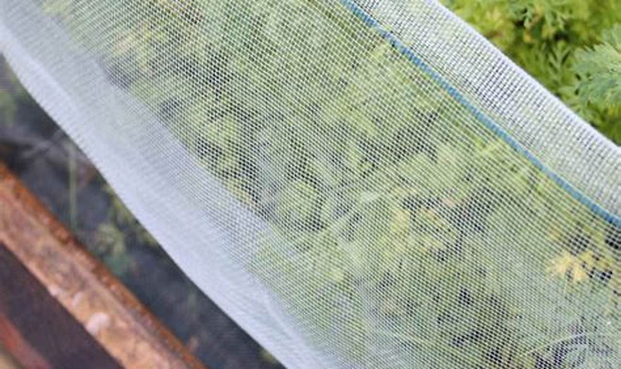 Best Garden Insect Netting: Protect Your Plants Now! The Ultimate Gardening Guide: Grow a Thriving Garden Year-Round Best Garden Insect Netting: Protect Your Plants Now! | The Ultimate Gardening Guide: Grow a Thriving Garden Year-Round