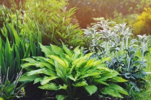 Grow Green: Garden Plants &amp; Thriving Foliage! | The Ultimate Gardening Guide: Grow a Thriving Garden Year-Round
