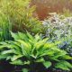 Grow Green: Garden Plants &amp; Thriving Foliage! | The Ultimate Gardening Guide: Grow a Thriving Garden Year-Round