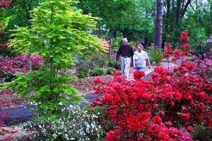 Explore: Ruby M Mize Azalea Garden Guide & Tips | The Ultimate Gardening Guide: Grow a Thriving Garden Year-Round
